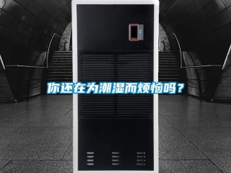 常见问题你还在为潮湿而烦恼吗？