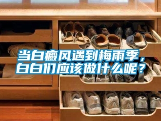 企业新闻当白癜风遇到梅雨季，白白们应该做什么呢？
