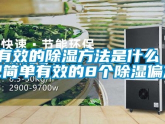 企业新闻最有效的除湿方法是什么 牢记简单有效的8个除湿偏方