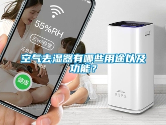 行业新闻空气去湿器有哪些用途以及功能？