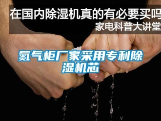 企业新闻氮气柜厂家采用专利除湿机芯