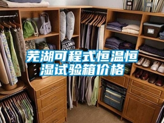 知识百科芜湖可程式恒温恒湿试验箱价格