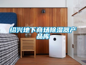 行业新闻绍兴地下商场除湿器产品库