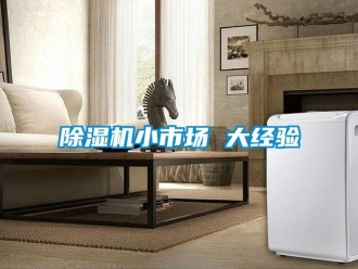 企业新闻除湿机小市场 大经验