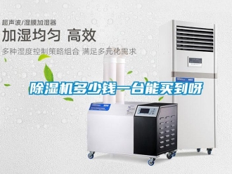 企业新闻除湿机多少钱一台能买到呀