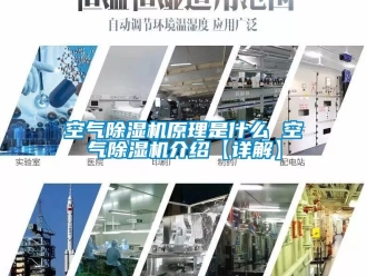 行业新闻空气除湿机原理是什么 空气除湿机介绍【详解】