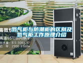企业新闻氮气柜与防潮柜的区别及氮气柜工作原理介绍