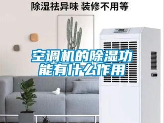 行业新闻空调机的除湿功能有什么作用