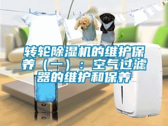 常见问题转轮除湿机的维护保养（一）：空气过滤器的维护和保养