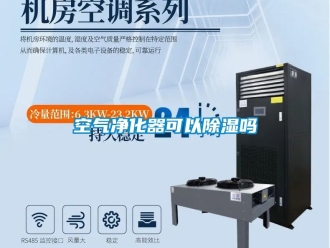 行业新闻空气净化器可以除湿吗