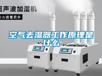 行业新闻空气去湿器工作原理是什么