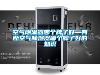 行业新闻空气除湿器哪个牌子好—判断空气除湿器哪个牌子好的知识