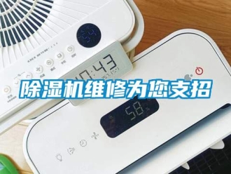 企业新闻除湿机维修为您支招