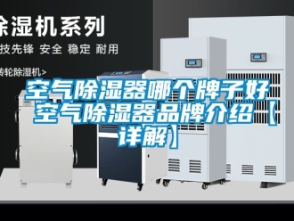 行业新闻空气除湿器哪个牌子好 空气除湿器品牌介绍【详解】