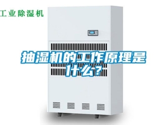 企业新闻抽湿机的工作原理是什么？