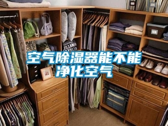 行业新闻空气除湿器能不能净化空气