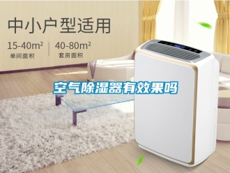 行业新闻空气除湿器有效果吗