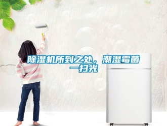 企业新闻除湿机所到之处，潮湿霉菌一扫光