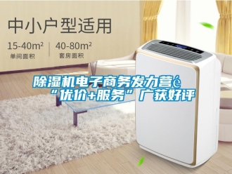 企业新闻除湿机电子商务发力营销“优价+服务”广获好评