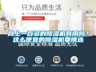 行业新闻网上一百多的除湿机有用吗？这么便宜的除湿机要慎选