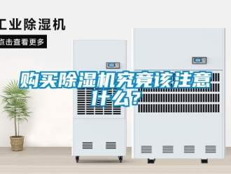企业新闻购买除湿机究竟该注意什么？