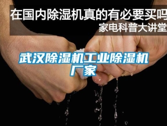 企业新闻武汉除湿机工业除湿机厂家
