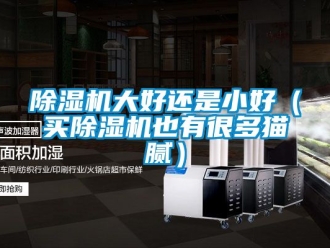 企业新闻除湿机大好还是小好（买除湿机也有很多猫腻）