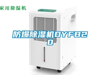 企业新闻防爆除湿机DYFB20
