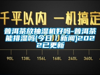 企业新闻普洱茶放抽湿机好吗-普洱茶能排湿吗(今日／新闻)2022已更新