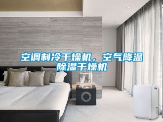 行业新闻空调制冷干燥机，空气降温除湿干燥机