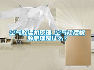 行业新闻空气除湿机原理_空气除湿机的原理是什么？