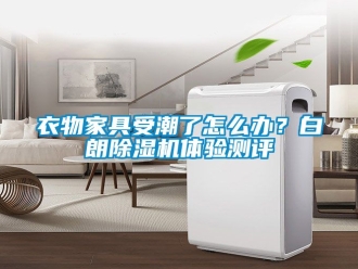行业新闻衣物家具受潮了怎么办？白朗除湿机体验测评