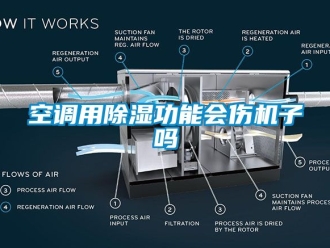 行业新闻空调用除湿功能会伤机子吗