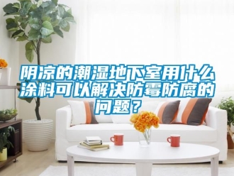 企业新闻阴凉的潮湿地下室用什么涂料可以解决防霉防腐的问题？