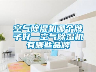 企业新闻空气除湿机哪个牌子好—空气除湿机有哪些品牌