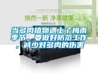 企业新闻当多肉植物遇上了梅雨季节，要做好防范工作，减少对多肉的伤害