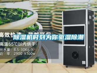 企业新闻除湿机时刻为你驱湿除潮
