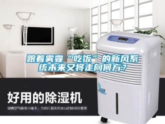 企业新闻跟着雾霾“吃饭”的新风系统未来又将走向何方？