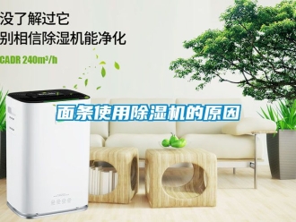 行业新闻面条使用除湿机的原因