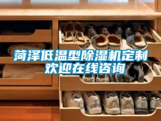 行业新闻菏泽低温型除湿机定制 欢迎在线咨询