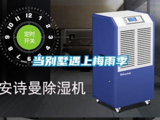 企业新闻当别墅遇上梅雨季