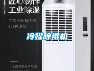 行业新闻冷媒除湿机