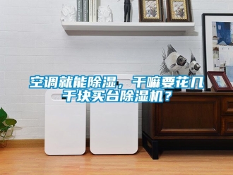 行业新闻空调就能除湿，干嘛要花几千块买台除湿机？