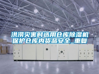 企业新闻洪涝灾害时选用仓库除湿机保护仓库内货品安全_重复
